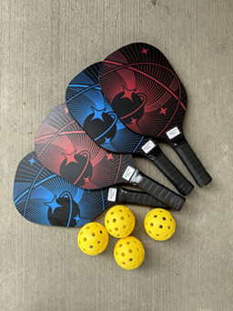 Pickleball Set