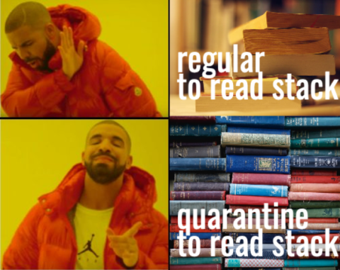 Drake Hotline Bling Meme: Regular to read stack of books / quarantine to read stack of books