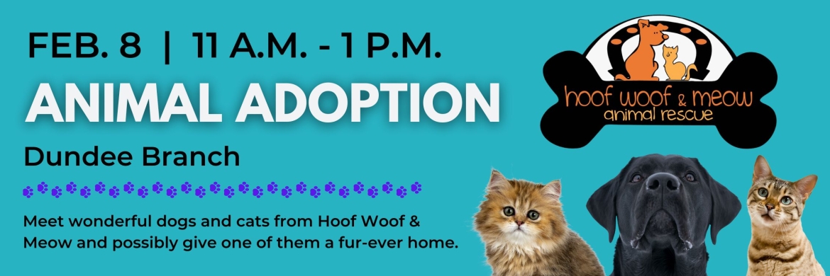 Meet dogs and cats from Hoof Woof & Meow on February 8th