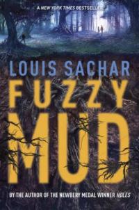 VPL - Books Just for You - For Fans of Louis Sachar's Holes